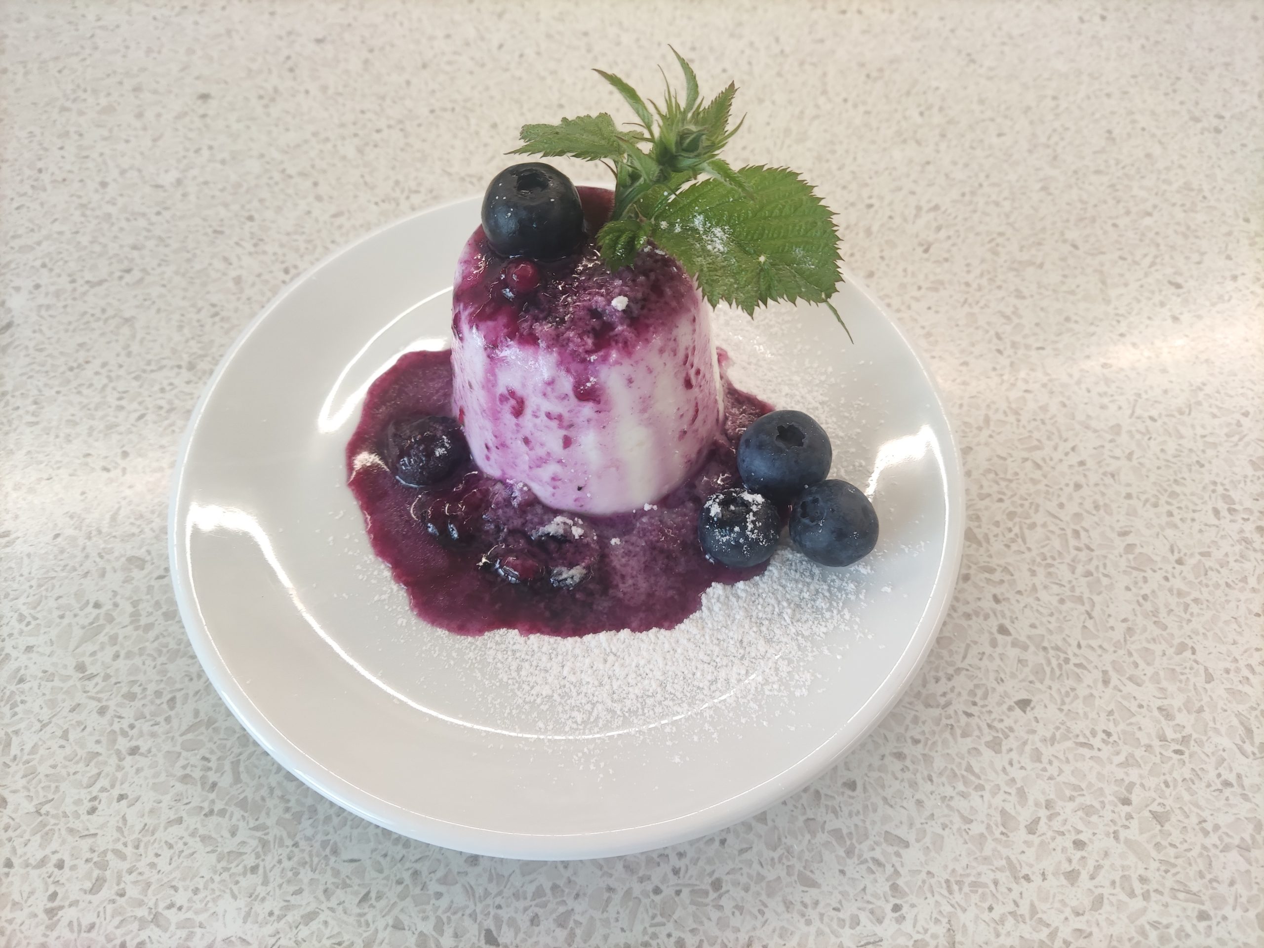 Panna Cotta s čučoriedkami